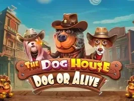 เดอะ ด็อก เฮาส์ - ด็อก ออร์ อไลฟ์