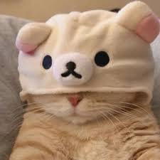 มิน พีชญา avatar