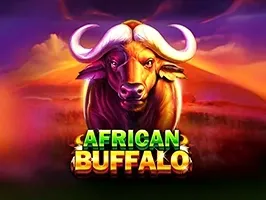 African Buffalo 1
